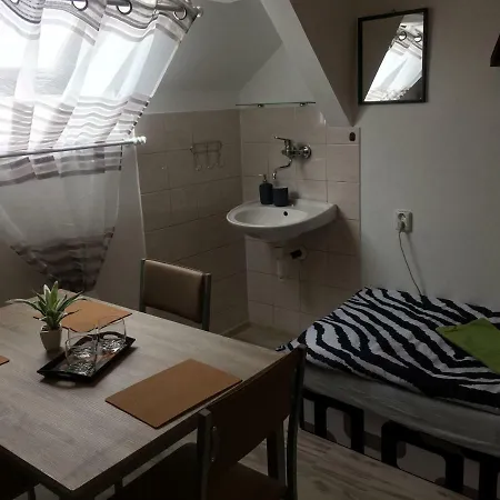 Guest house Zuzana Spacince